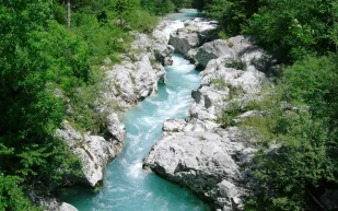شاهد نهر الذهب في جنوب الصين