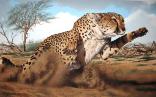 فيديو مرعب لفهد يباغت سائحة ويتمكن من رقبتها