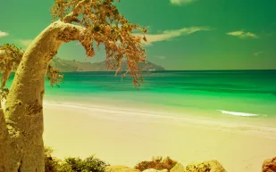 عجائب طبيعية خلابة في عالمنا العربي.. وجهات سياحية رائعة