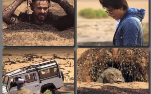 «رامز تحت الأرض».. نظرة تحليلية تكشف لك جوانب خفية (فيديو)