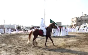 فيديو|خيول تفسد عرس سعودي وتحوله لفوضى