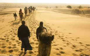 فيديو مؤثر| العثور على راعي إبل على وشك الموت من العطش