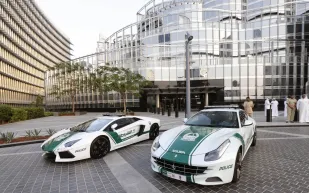 شرطة دبي تلقي القبض على مجرم خطير متورط في جرائم احتيال وغسل أموال