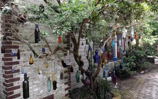 فيديو| فتيات وشباب سعوديون يحولون مكانًا مهجورًا إلى حديقة فنية