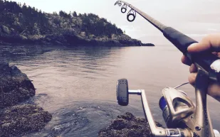 فيديو|عمال يصطادون الأسماك من مياه الصرف 