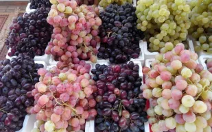 فيديو.. «#مهرجان_العنب_بالصلبيه_38».. 8 فوائد لا تعرفها عن العنب !