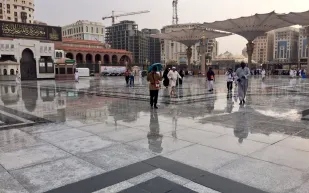 فيديو| «#امطار_المدينه».. كيف استغل مغردو «تويتر» هذا الموسم؟