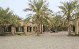 فيديو| فعالية بالأحساء تثير الجدل.. نظموا مسابقة لتكسير البيض بالرأس !