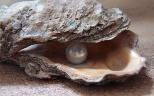 كيف تميز اللؤلؤ الطبيعي من الصناعي؟