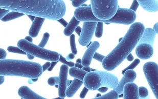 فطريات فتاكة تبث 75 سماً قاتلاً في أجسامنا