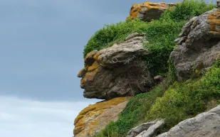 تفسير رؤية وجوه في الأشياء حولنا