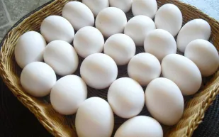 زيادة إنتاج بيض المائدة بنسبة 12.9% 