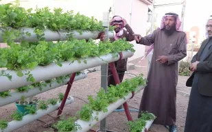 فيديو| مواطن يحوّل فناء منزله لمزرعة مائية لزراعة خضر وفواكه