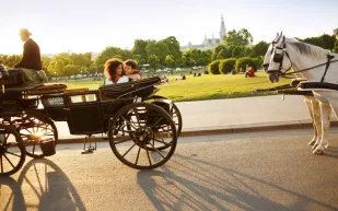 تمتع بالرومانسية في كل مكان في فيينا !