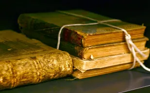 تعرف على تفاصيل أكبر شجرة عائلة في العالم !