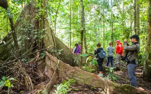 روريناباك.. عش مغامرات الأدغال الأكثر إثارة في بوليفيا
