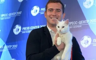 تعرف على قصة القط «أخيل».. وهذه مهمته في مونديال كأس العالم بروسيا (فيديو)