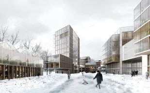 «ناي أنستالت» منتجع فاخر لإعادة تأهيل سجناء غرينلاند