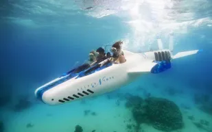 شاهد| Super Falcon 3S غواصة لمحبي الفخامة وعشاق اكتشاف الحياة البحرية