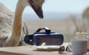 فيلم «سامسونج» النعامة يحصل على 13 جائزة عالمية (فيديو)