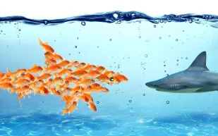 كيف تمنع فريقك من إطلاق الأعذار وتدفعهم لتحقيق النتائج؟