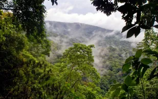 اكتشف جمال فجوة دارين التي تفصل بين الأمريكيتين