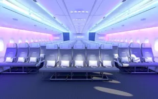 ماذا يعني وجود مثلث صغير فوق بعض مقاعد الطائرة؟