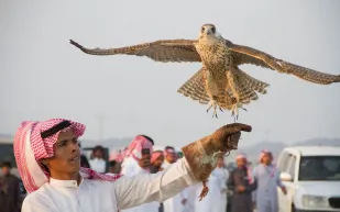 قناة ديسكفري تنتج فيلم وثائقي عن دبي
