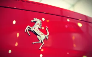 الحصان والسيارات.. قصة عجيبة كانت سببًا في اختيار هذا الحيوان لقياس قوة المحركات