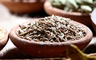 أفضل خمسة أعشاب لتخسيس الجسم