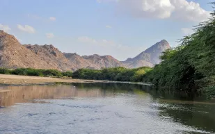 جمال الطبيعة الخلاب في وادي «يبه» (فيديو)