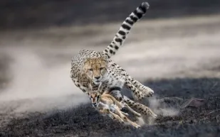 هذه أجمل صور الحياة في 2018 (صور)