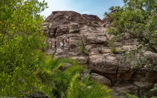 جبال القهر.. لوحة ربانية بديعة تأسر الأنظار بجمالها (فيديو)