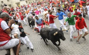 على غرار مهرجان " بامبلونا".. الترفيه تنظم تحدي "ركوب الثيران" في المملكة