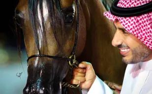 يتضمن سينما وشعرا وموسيقى.. انطلاق المهرجان السعوي للجواد العربي «عبيه» غدا