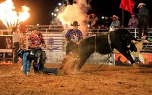 لأول مرة بالمملكة.. إقامة عرض مثير لتحدي الثيران بمشاركة فرقة أمريكية (صور)