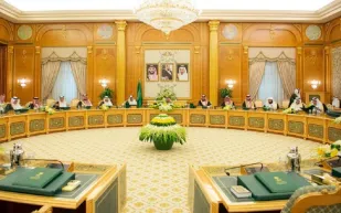 وافق عليها مجلس الوزراء.. ما هي لائحة المحافظة على الذوق العام؟