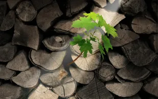 لهذه الأسباب تعاني من نقص الإرادة.. وهذا ما عليك فعله