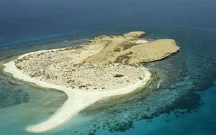 جزيرة فرسان.. كنز سعودي وسط البحر الأحمر ينتظر رواد الأعمال (إنفوجراف)