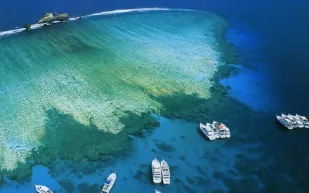 أبرزها فرسان وجبل الصبايا.. تعرف على أهم الجزر السياحية في المملكة