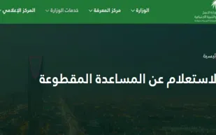 طريقة التقديم والاستعلام عن المساعدة المقطوعة.. وأهم الشروط الواجب توافرها