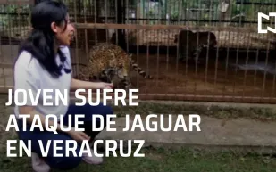 صورة سيلفي السبب.. نمر ينهش ذراع فتاة في حديقة حيوان مكسيكية «فيديو»