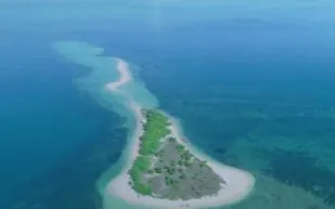  جزيرة فريدة تختفي في عام 2022