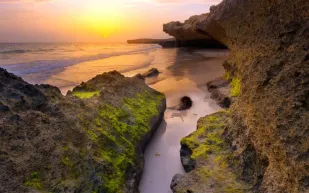 السياحة في جزيرة فرسان .. دليلك لرحلة ممتعة