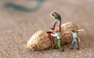 تتعامل مع زملاء العمل على أنهم عائلتك؟ انتبه هذا يضرّك جداً