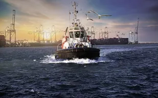 لماذا بدأت السفن التجارية حول العالم إطلاق أبواقها مساء كل يوم؟