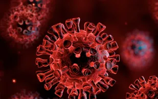 التعامل مع إفراط أخبار كورونا.. تحكم في الأمر قبل أن يؤذيك 