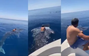 «كنت أنقذه من صنارتي».. صاحب فيديو الحوت يكشف السر وراء امتطائه لظهره (فيديو)