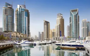 لقطات صادمة..غوريلا ونمر يحلقان فوق ناطحات دبي (فيديو)