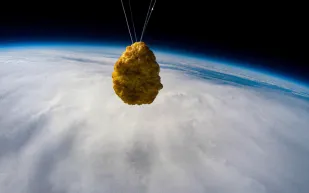 لماذا أُرسلت قطعة دجاج لرحلة إلى الفضاء؟ (فيديو)